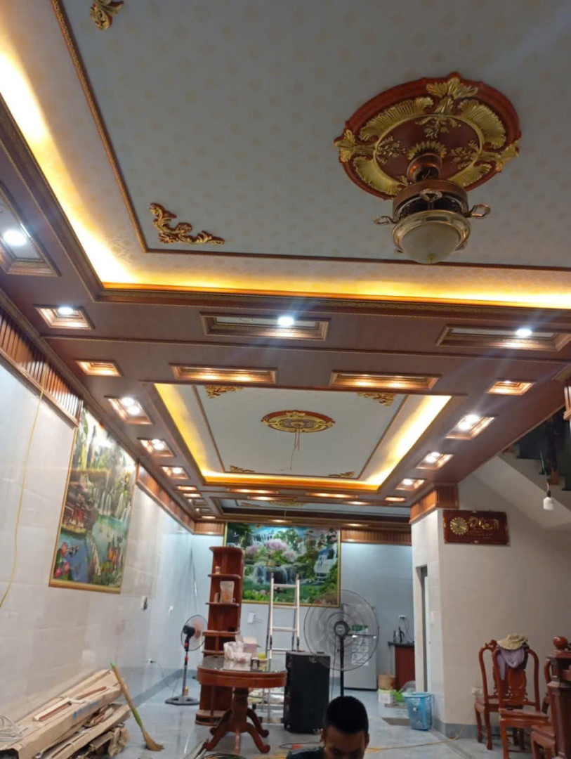 MẪU TRẦN NHỰA 1